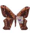 Arsenura cymonia A.1/A.1-