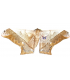 SATURNIIDAE2