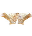 Arsenura fuscata A.1/A.1-