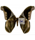 SATURNIIDAE2