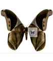 Recynthes hippodamia A.1/A.1-