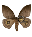 Automeris innoxia A.1/A.1-