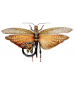Tropidacris dux