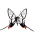 RIODINIDAE
