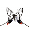 Chorinea batesii
