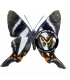 RIODINIDAE