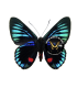 RIODINIDAE