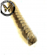 scorpionidae