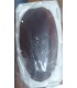 HEMIPTERA
