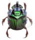 Scarabaeidae Oxysternon conspicillatum