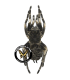 SPIDERS