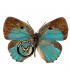 LYCAENIDAE