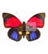 NYMPHALIDAE1