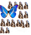 M.R.HELENA(100 PACK)A2-