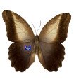 Caligo prometheus prometheus