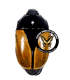 RUTELIDAE