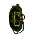 Macraspis Andicola