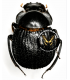 SCARABAEIDAE