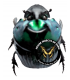 SCARABAEIDAE
