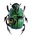 Phanaeus achilles