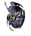 Phanaeus lancifer