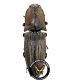 ELATERIDAE