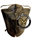 CHRYSOMELIDAE