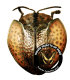 CHRYSOMELIDAE