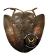 CHRYSOMELIDAE