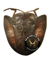 Akantaka peregrina