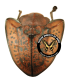 CHRYSOMELIDAE