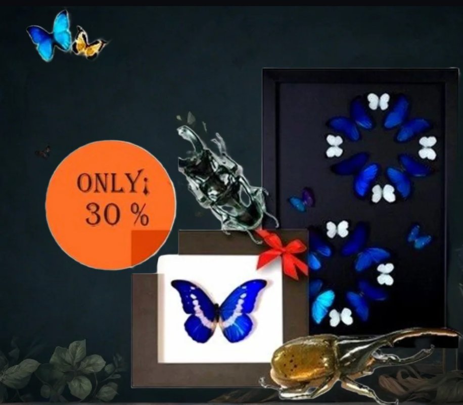 CUADROS DE MARIPOSA TROPICAL SECOS