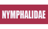 Nymphalidae3