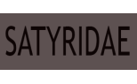 Satyridae