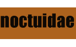 Noctuidae