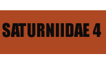 Saturniidae 4