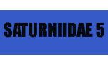 Saturniidae 5