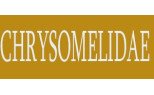 Chrysomelidae
