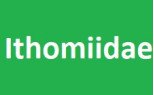 Ithomiidae