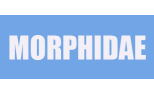 Morphidae